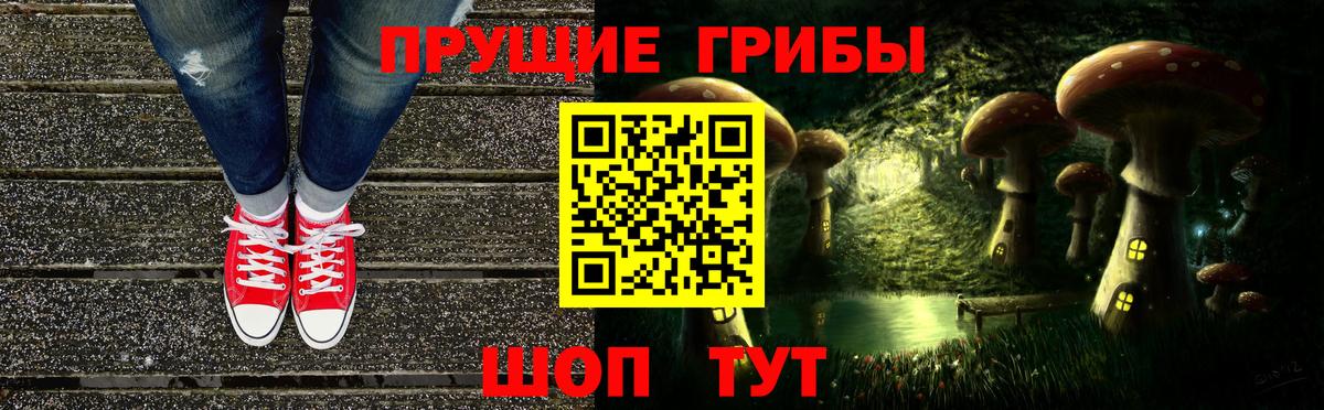 Галлюциногенные грибы Psilocybe  Вход с VPN  Ессентуки  Псилоцибиновые грибы GOLDEN TEACHER 